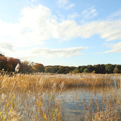 国営昭和記念公園