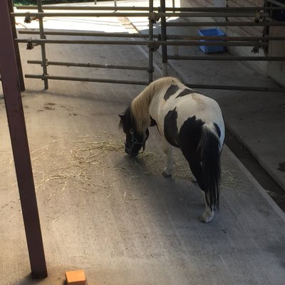 桐生が岡動物園