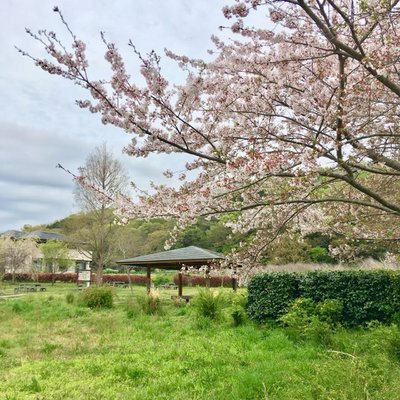 ラディアン花の丘公園