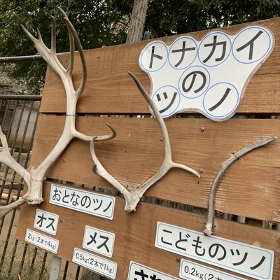 東京都多摩動物公園