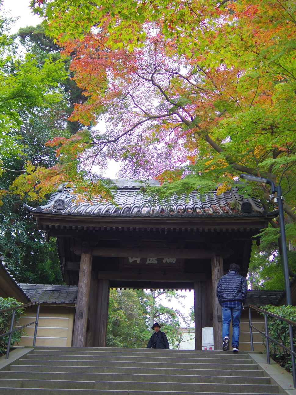 鎌倉さんぽ 秋の絶景は鎌倉にアリ 格式あるお寺 円覚寺 は紅葉の名所だった Playlife プレイライフ