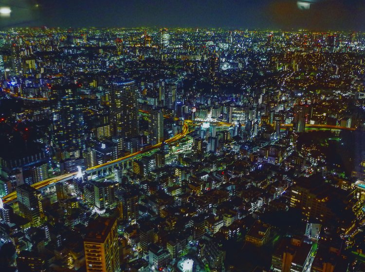 東京タワー夜景比較 大展望台と特別展望台の違いって Playlife プレイライフ