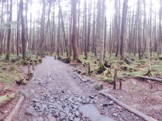 麦草峠