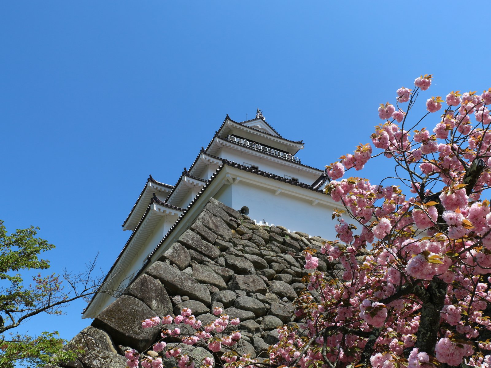 鶴ヶ城(若松城)