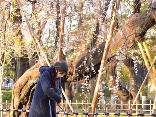 真間山弘法寺