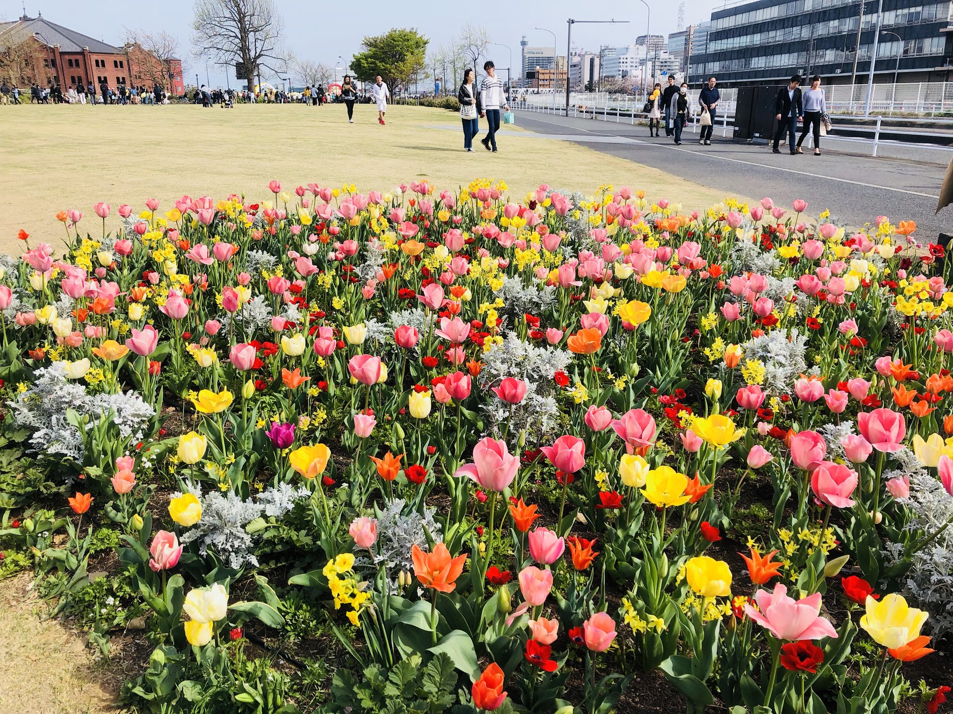 【カップル必見】春の横浜はお花だらけ♡120%インスタ映えするフラワーパレット街歩き特集！
