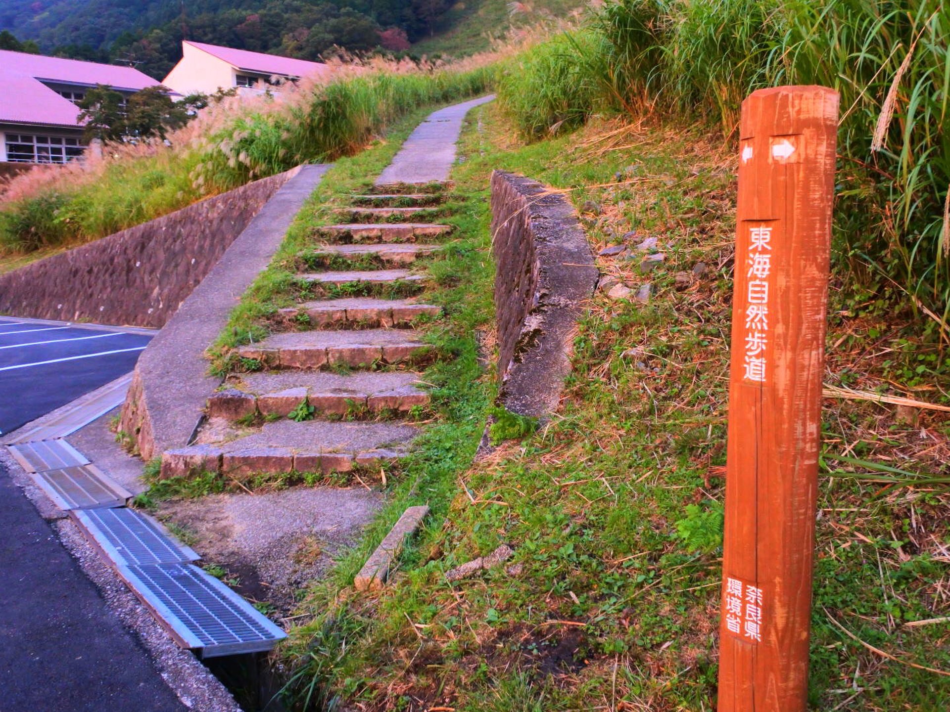 曽爾高原