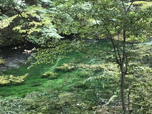 鳥沼公園