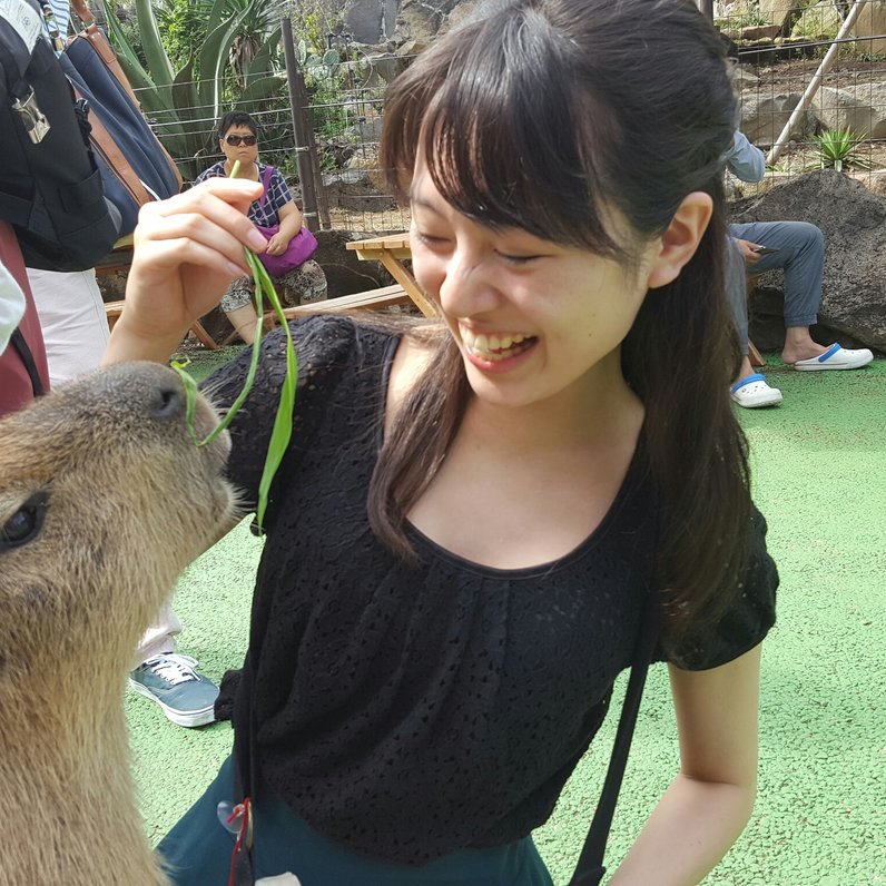 シャボテン公園/東海バス