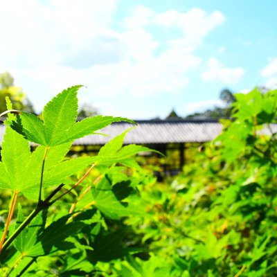 東福寺