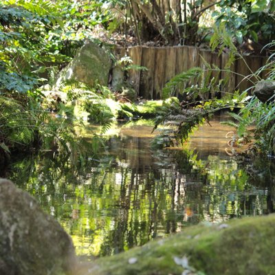 お鷹の道・真姿の池湧水群