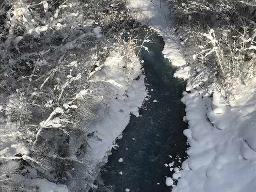 白ひげの滝