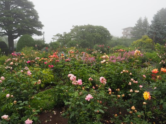 箱根強羅公園