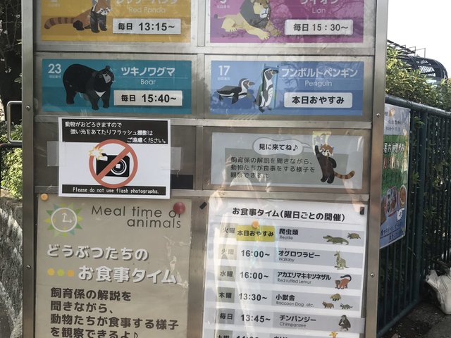 春のデートにおすすめ 横浜の動物園楽しみ方ガイド Playlife プレイライフ