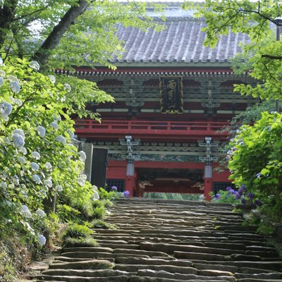 雨引山楽法寺(雨引観音)