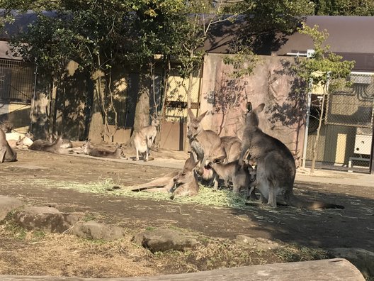 金沢動物園