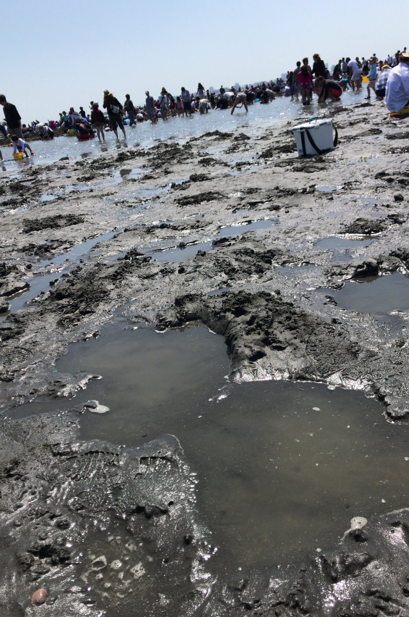 ふなばし三番瀬海浜公園