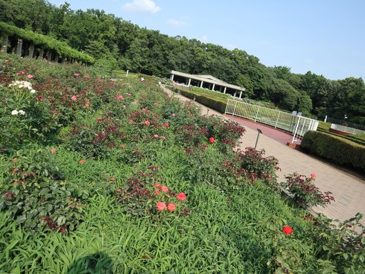 都立神代植物公園