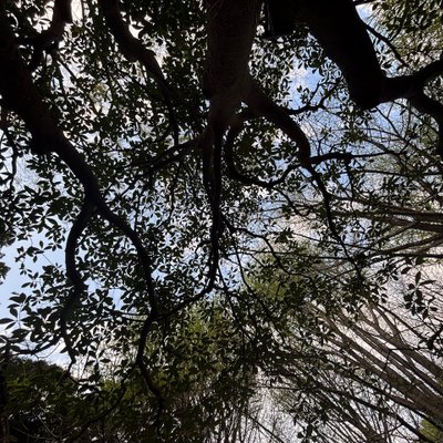 代々木公園