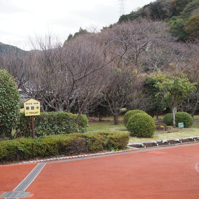 西伊豆 土肥金山（といきんざん）