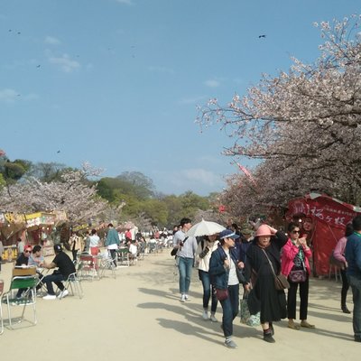 舞鶴公園