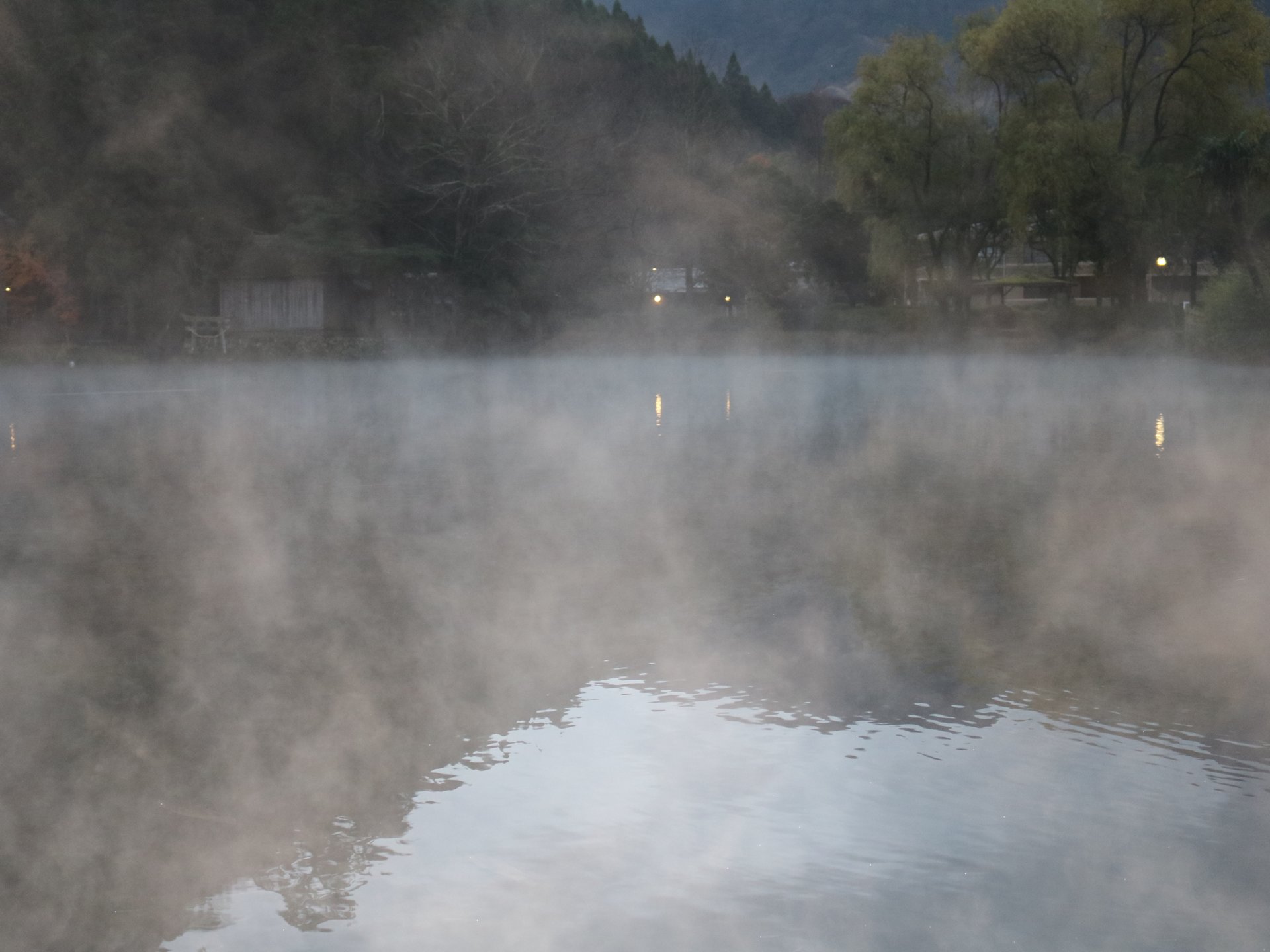 金鱗湖