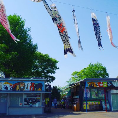 野毛山動物園