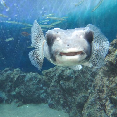 葛西臨海水族園