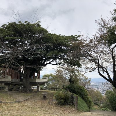 朝日山公園