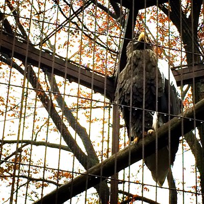 東京都恩賜上野動物園