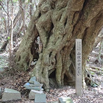 沖の島