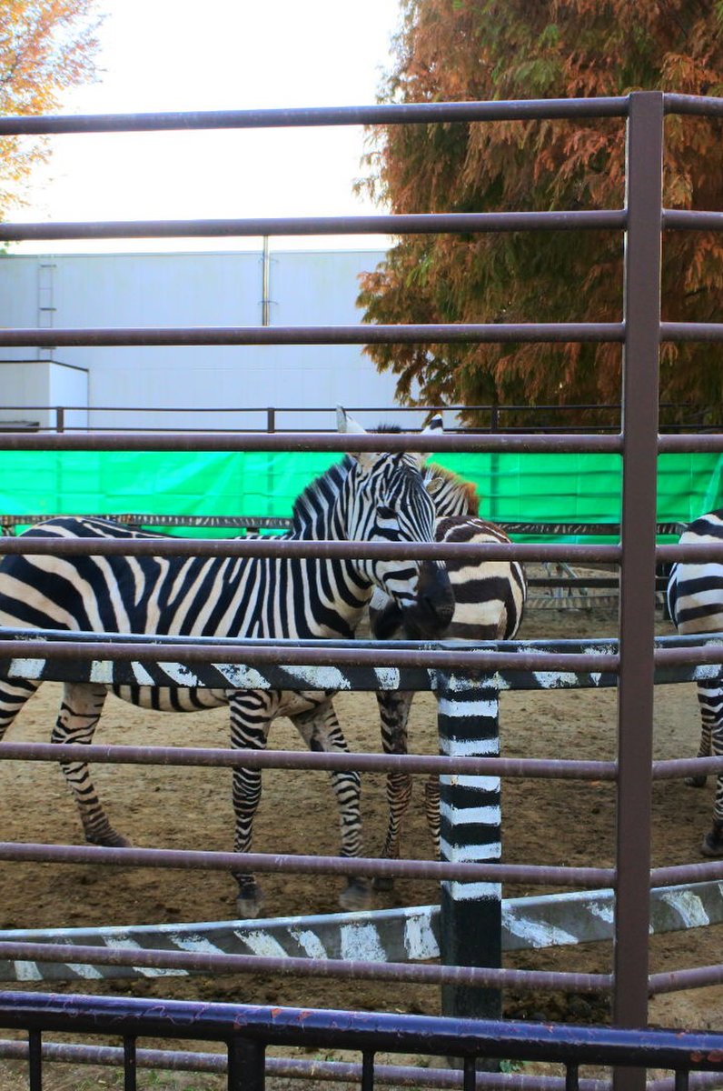 姫路市立動物園