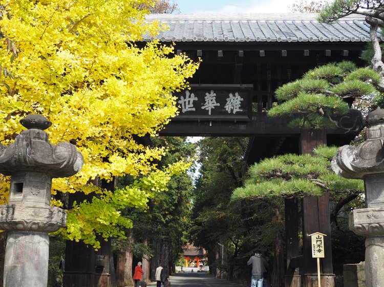 山梨旅 武田家ゆかりの菩提寺 恵林寺 は 紅葉の名所でもあった 桜の季節もおすすめ 前編 Playlife プレイライフ