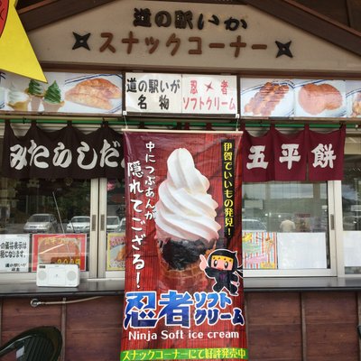 道の駅 いが