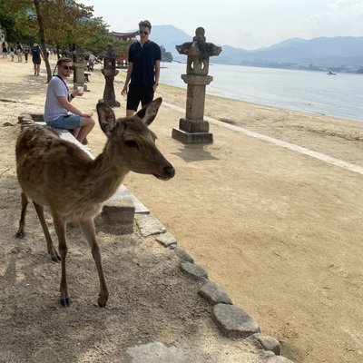 厳島神社