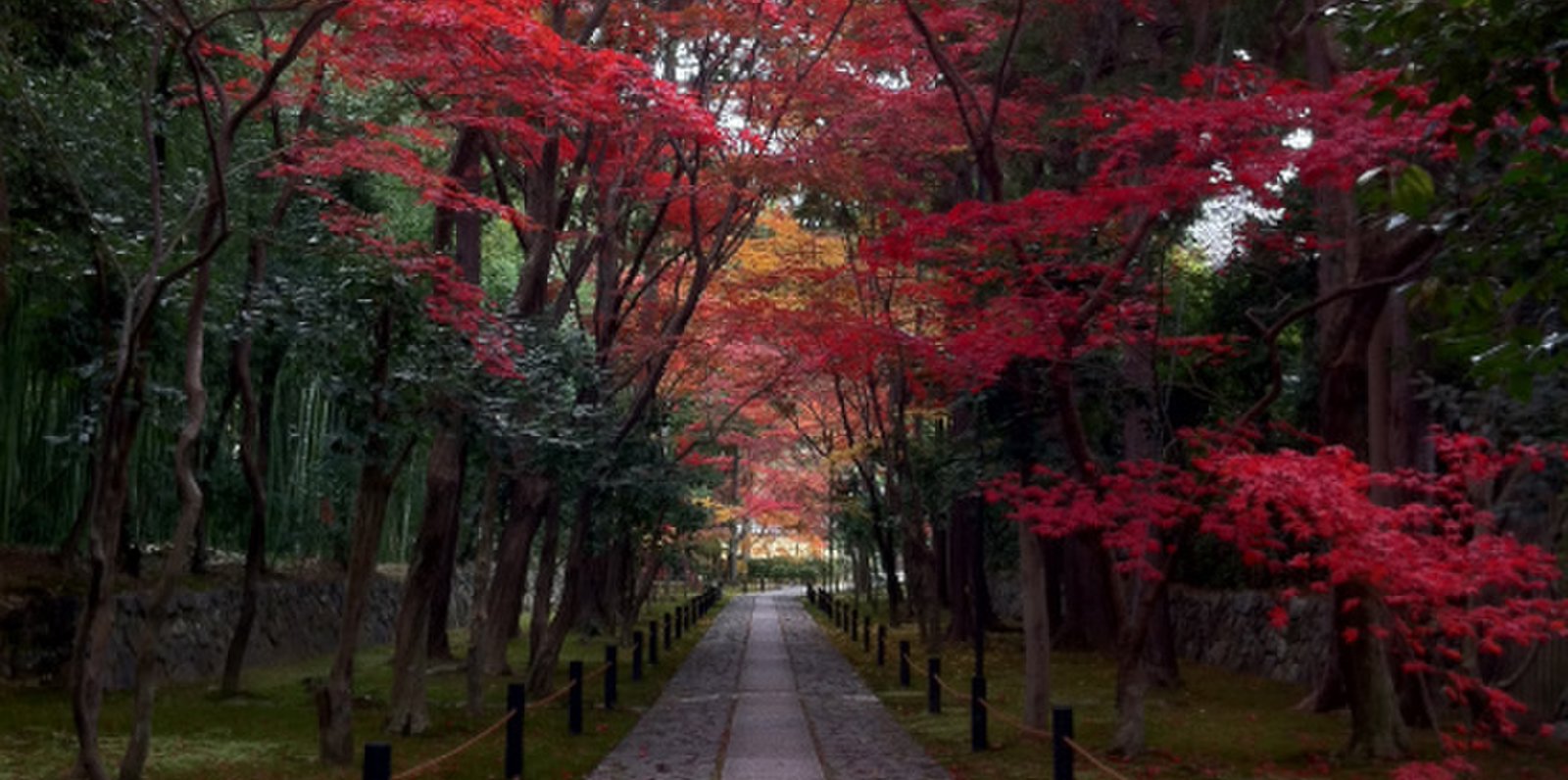 鹿王院