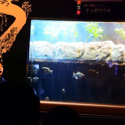 【閉園】神戸市立須磨海浜水族園