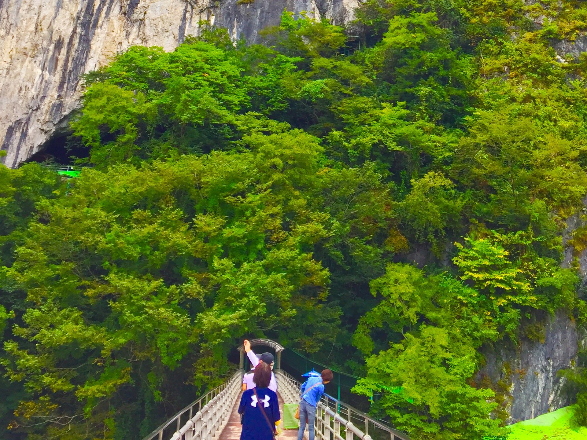 【岡山で自然の神秘を楽しむ】４０分の鍾乳洞探検。新見市へ行ったら井倉峡と井倉洞へ