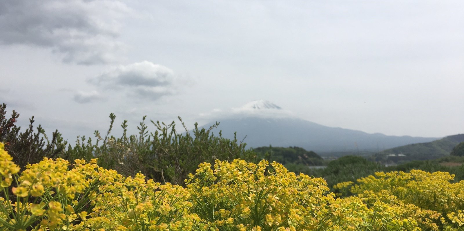 河口湖