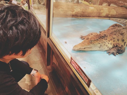 【閉園】めっちゃさわれる動物園