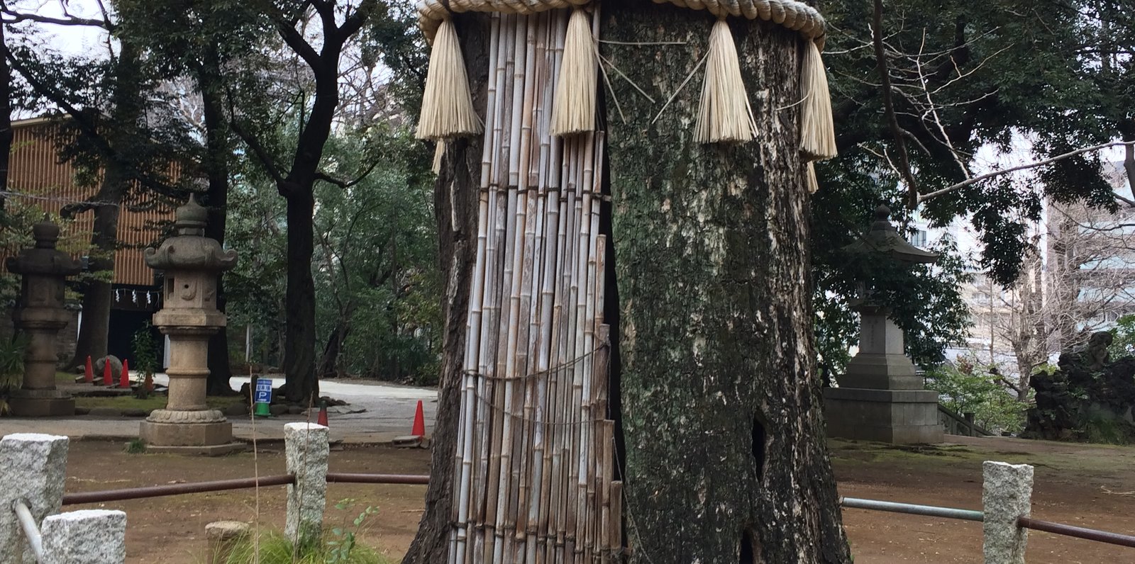 赤坂氷川神社