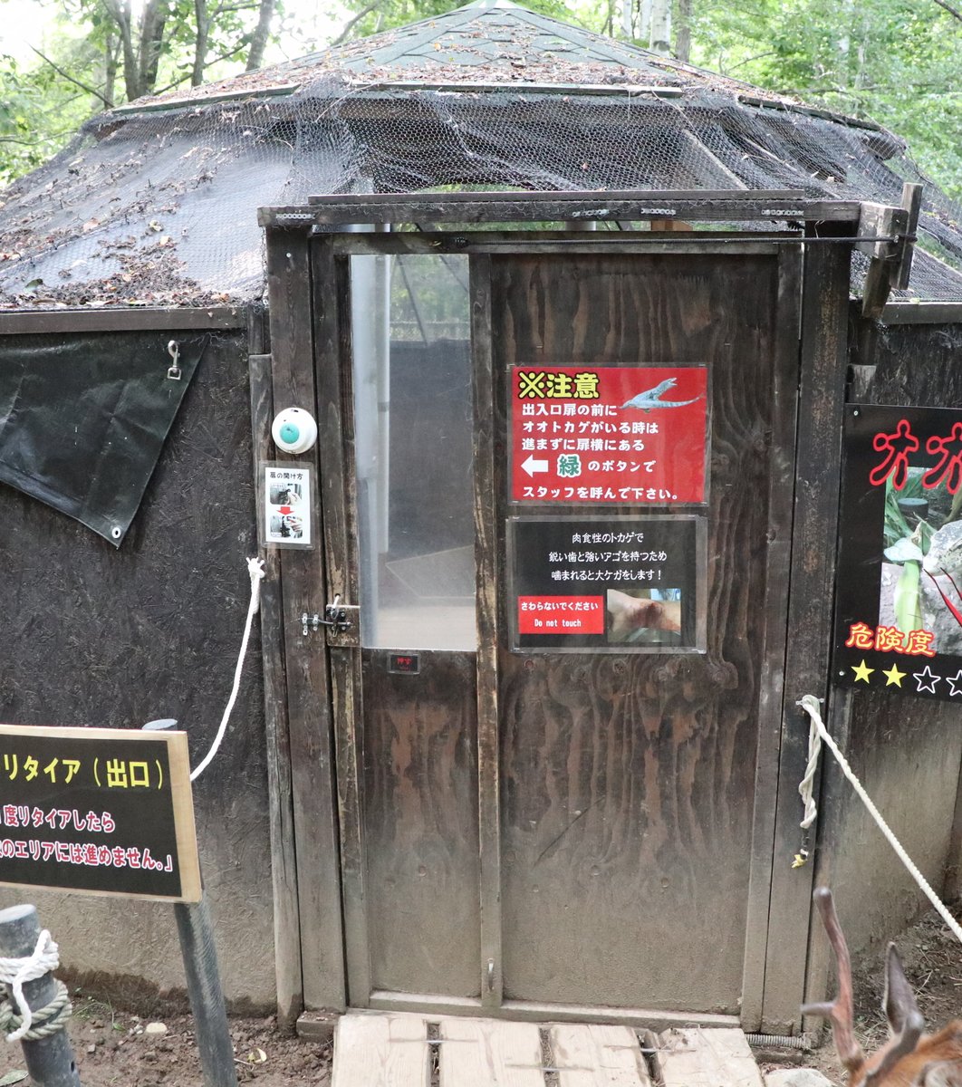 すべて自己責任 ライオンに餌やり ワニだっこ 超絶危険な動物園 ノースサファリサッポロ に潜入 Playlife プレイライフ