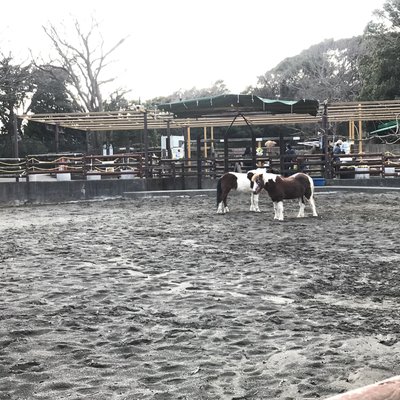 金沢動物園