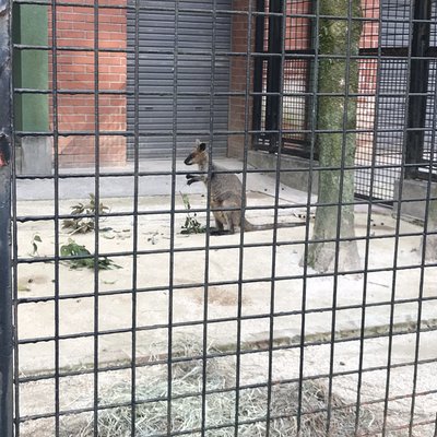 野毛山動物園