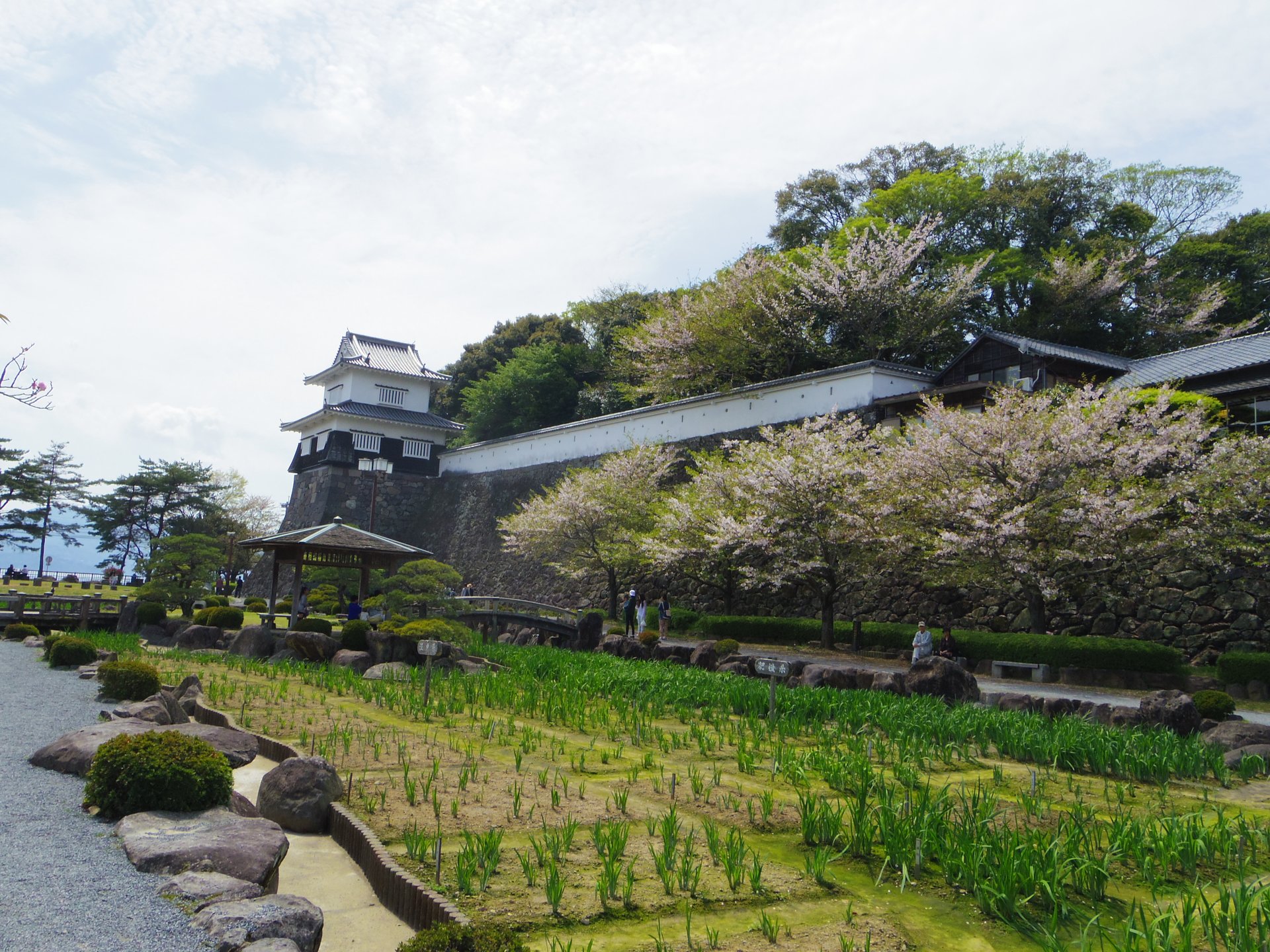 桜の名所【大村公園】長崎空港から車で15分、のんびりできる広大な公園で観光。城跡マニアも必見！