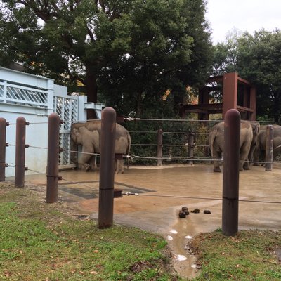 東京都恩賜上野動物園