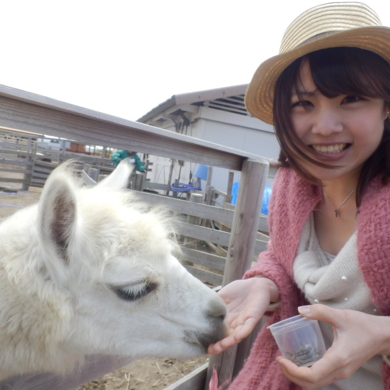 長井海の手公園ソレイユの丘