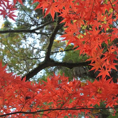 南禅寺 水路閣