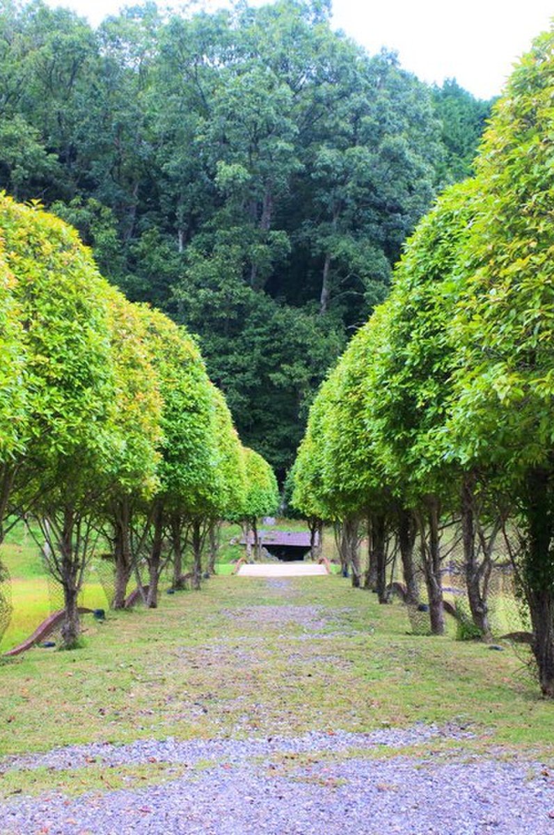 室生山上公園芸術の森