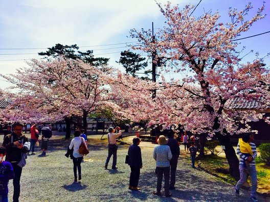 松江城 (千鳥城)